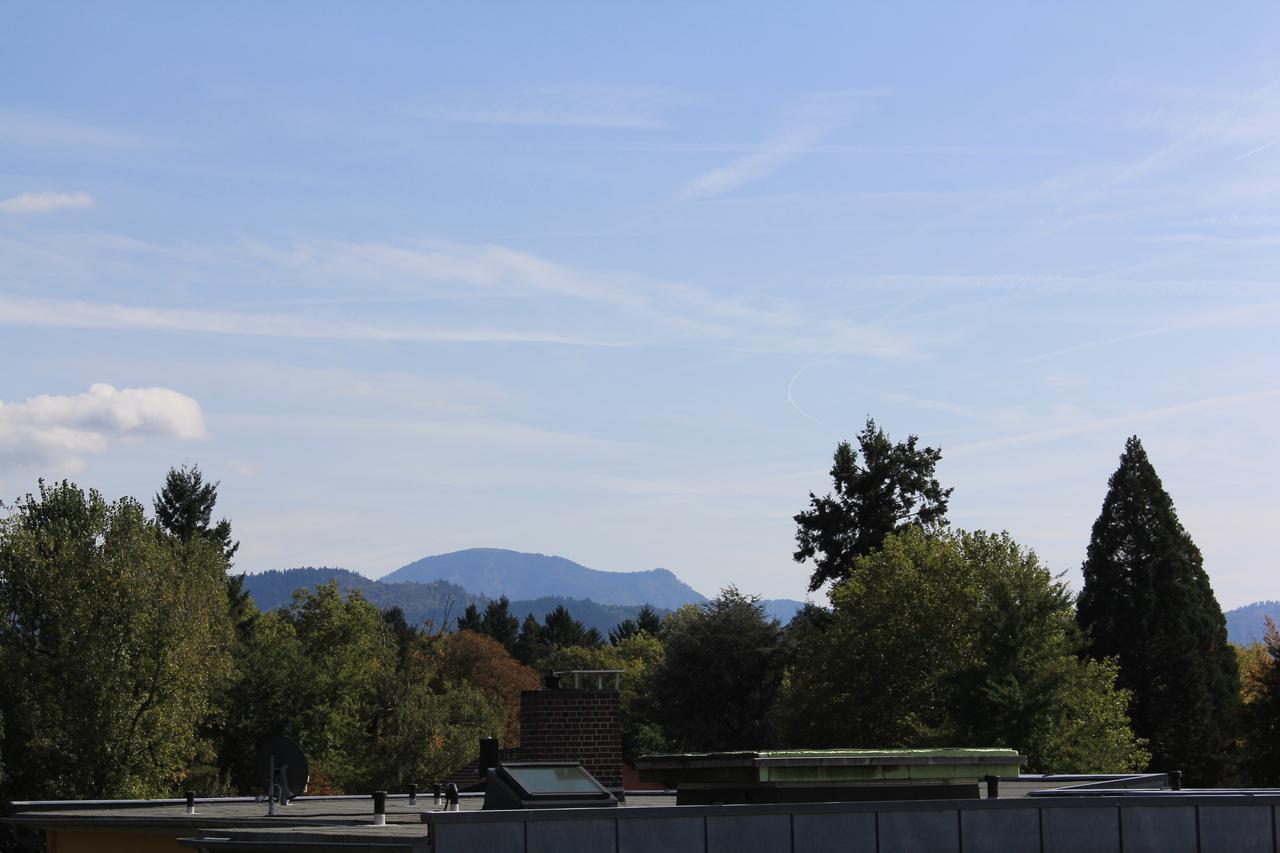 Mariaprimavera Apartment Am Kurpark Mit Schwarzwaldblick * * * * 바트크로찡엔 외부 사진